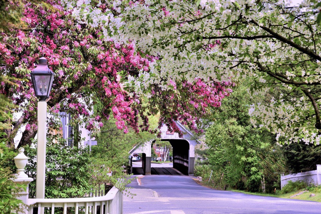 Woodstock, Vermont 05091