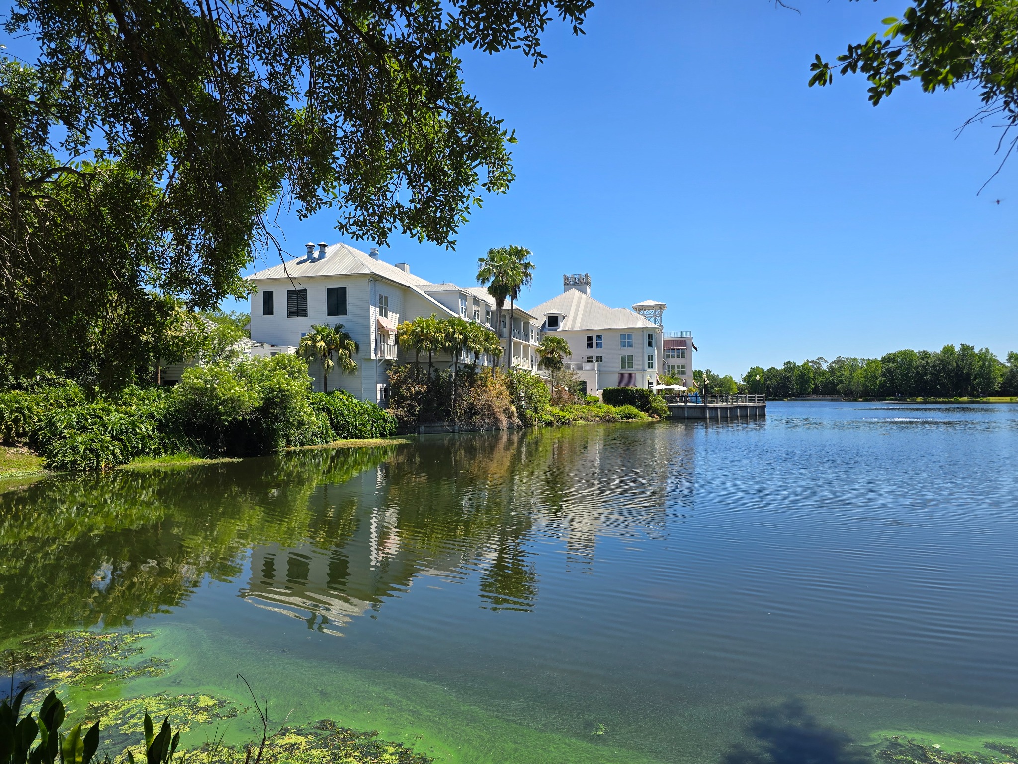Waarom is de stad Celebration in Florida zo bijzonder?