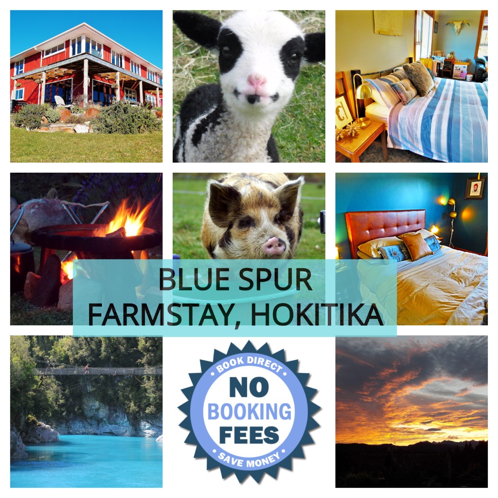 Blue Spur Farmstay House Manual