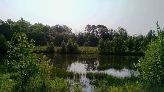 Try This Great Place For Your Next Stroll In The Cape May, NJ Area!