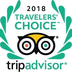 Lisbon Oceanarium elected as Best in the World by Tripadvisor