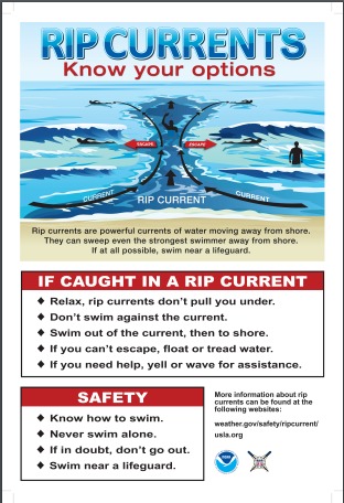 Rip Currents ~ Know Your Options