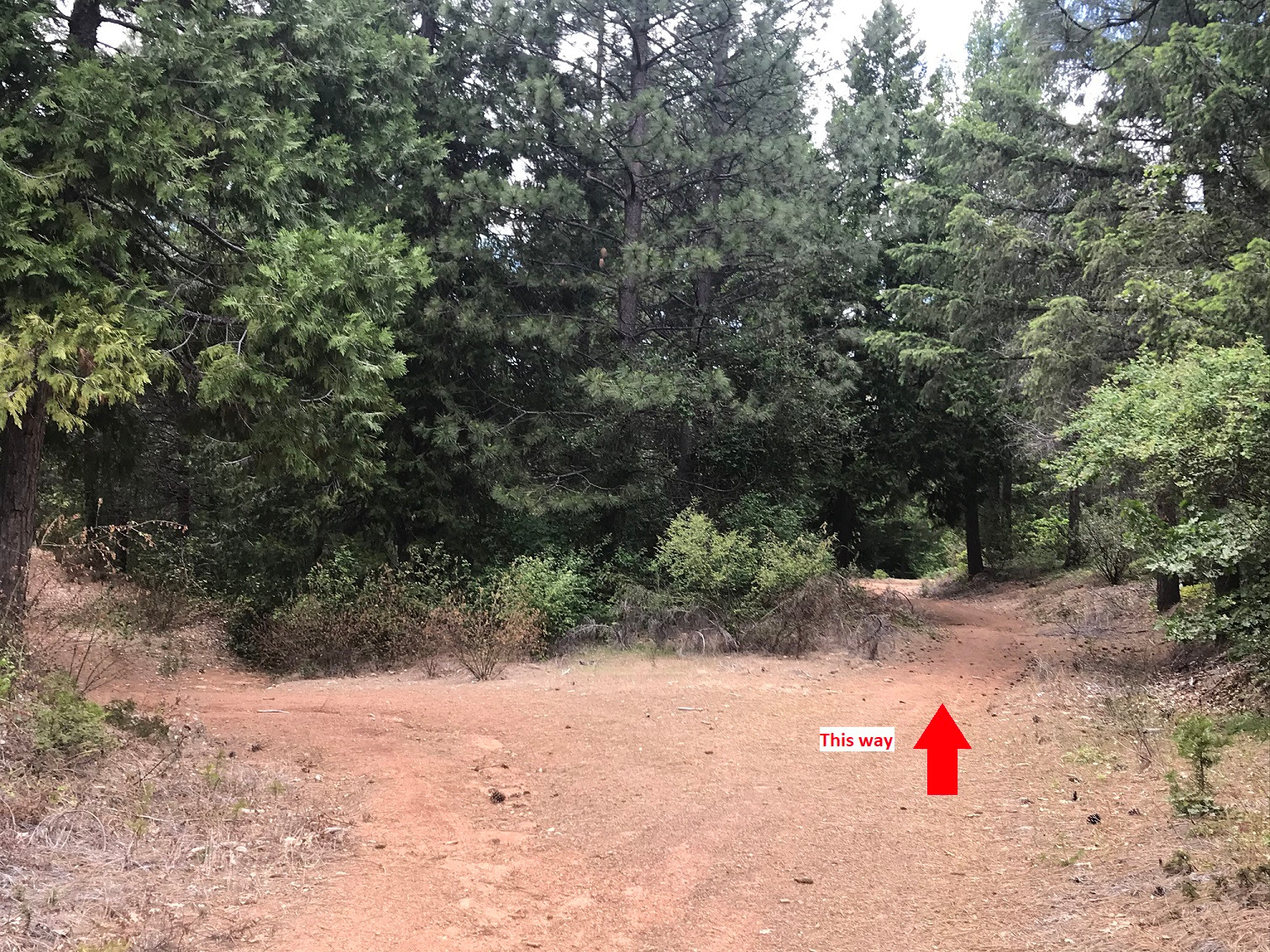 Stagecoach Trail (South Fork Consumnes River) - Part 1