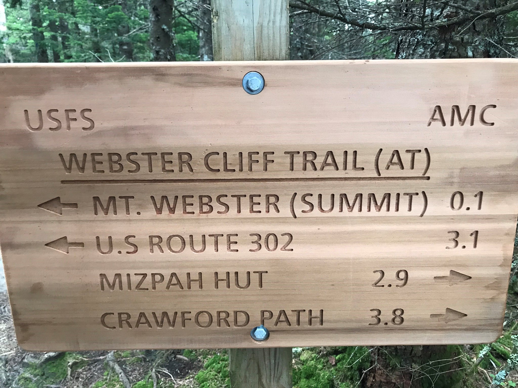 Mt. Jackson and Webster Loop Trail