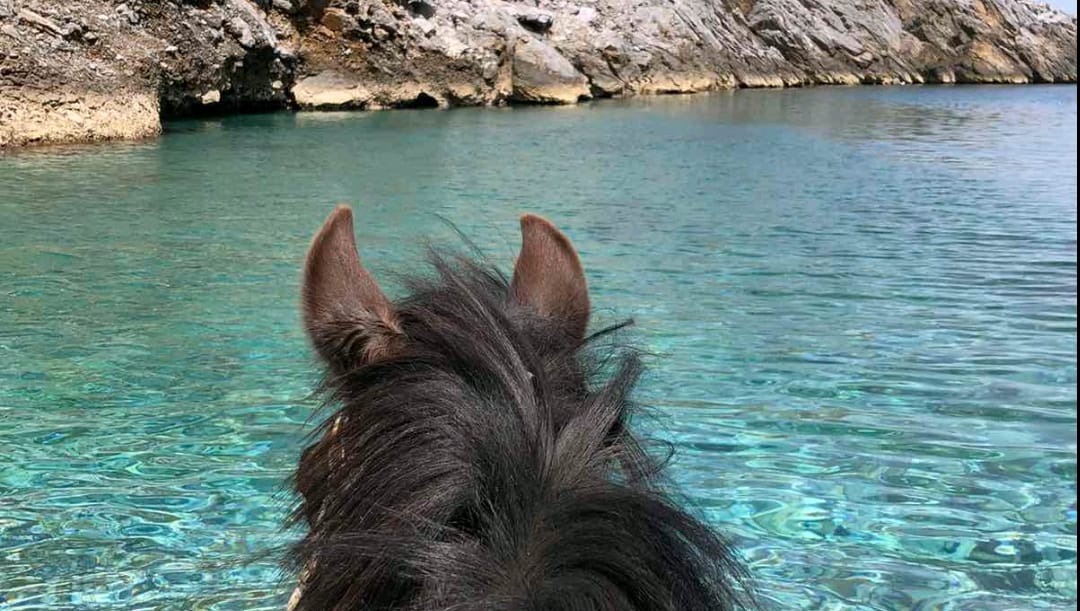 Horse Riding Fun for both Grownups & Kids on Skiathos Island, Greece