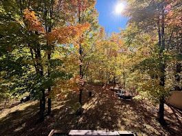 Fall Colors & Cozy Nights