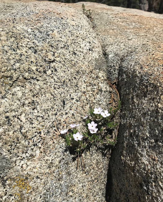 The Potholes at Silver Lake