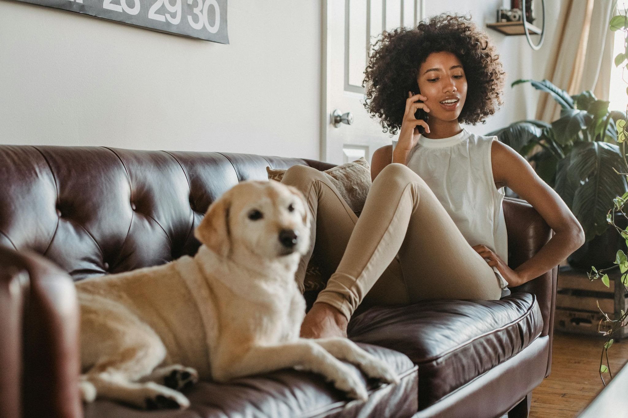 Guests booking direct with vacation rental hosts