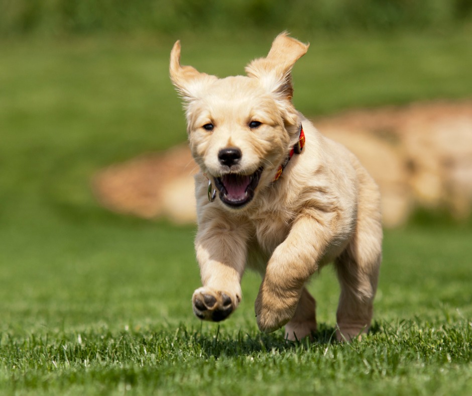 Should I use Blogs to Advertise My Vacation Rental?