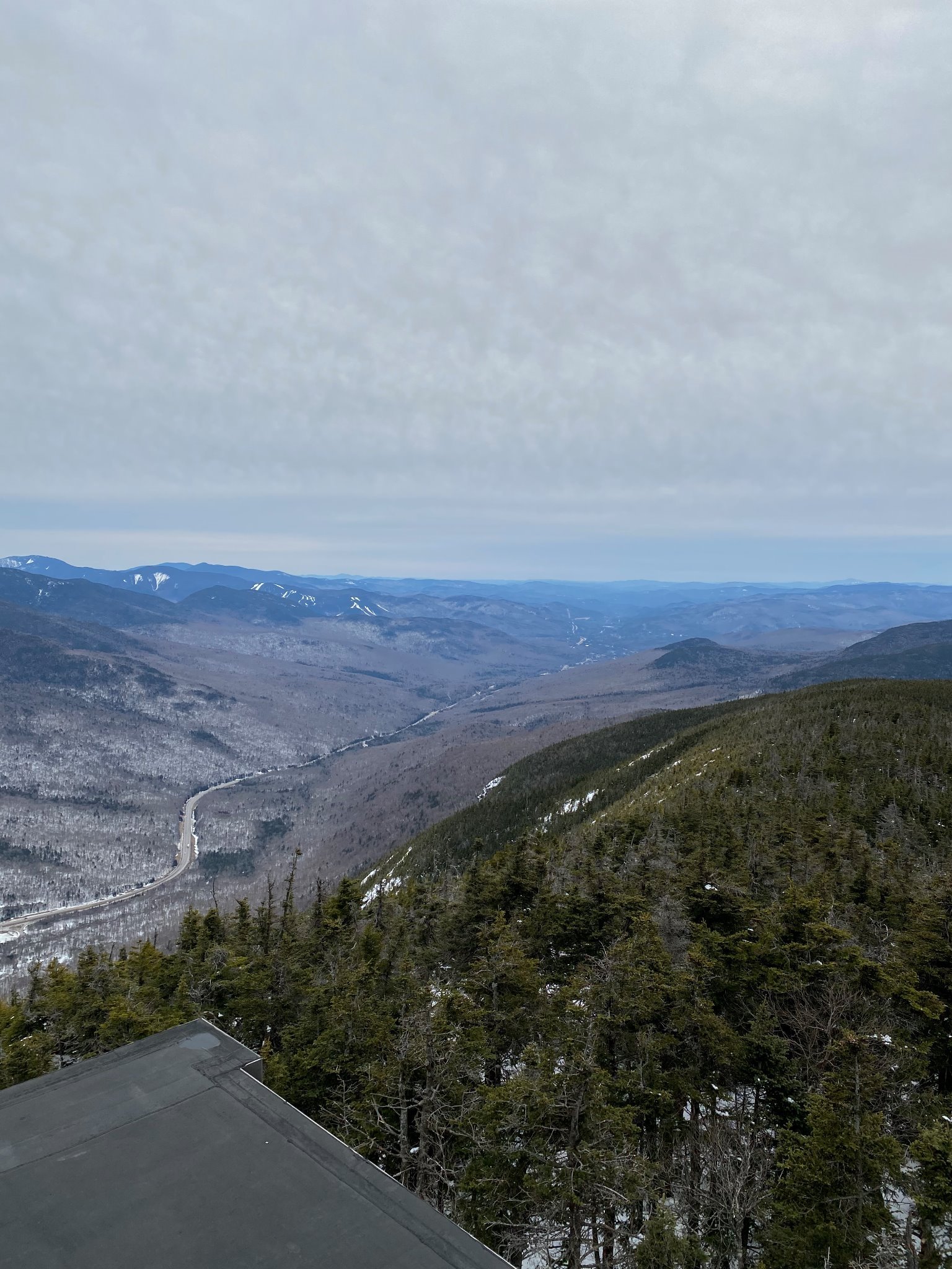 Cannon Mountain #3 in our quest for 48