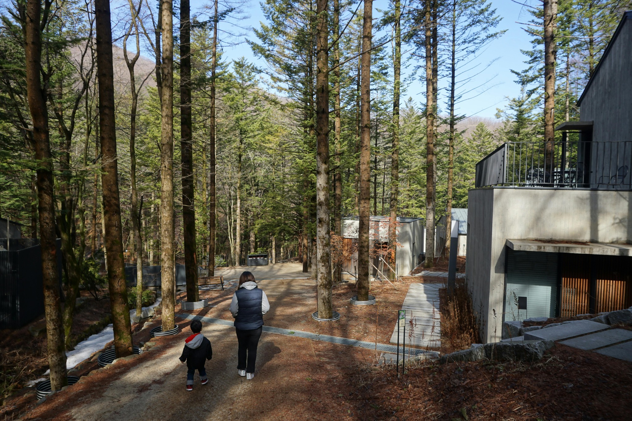 Vacation Rentals Close to Hiking Trails