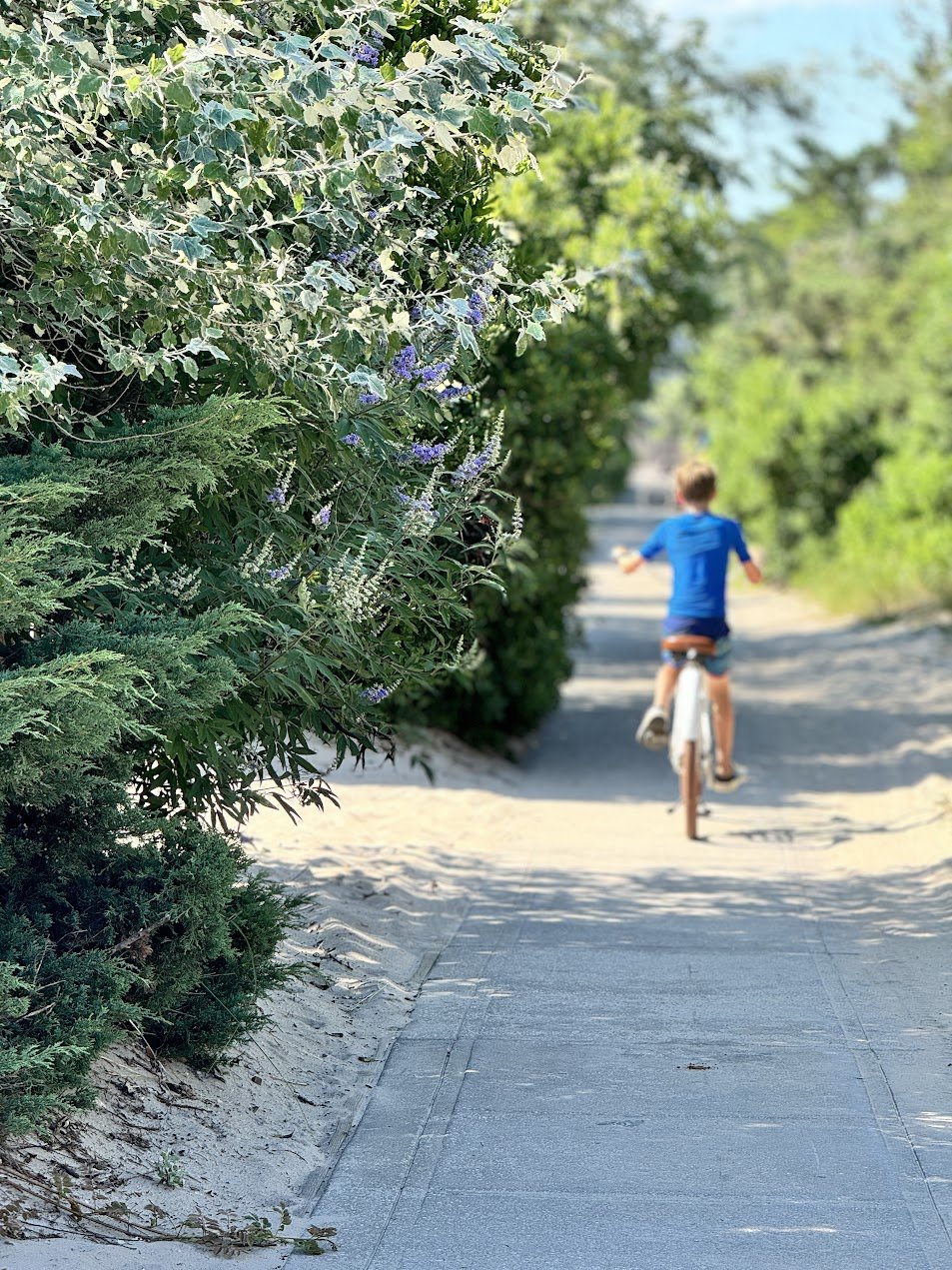 Biking safely around the (car-free) island is just one of life's little joys.