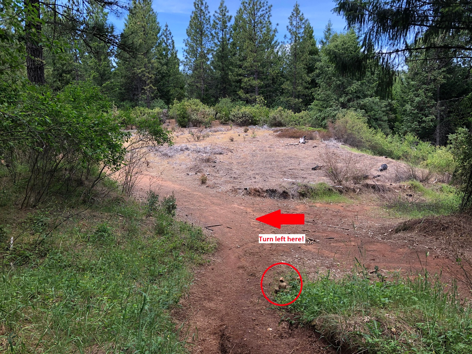 Stagecoach Trail (South Fork Consumnes River) - Part 1