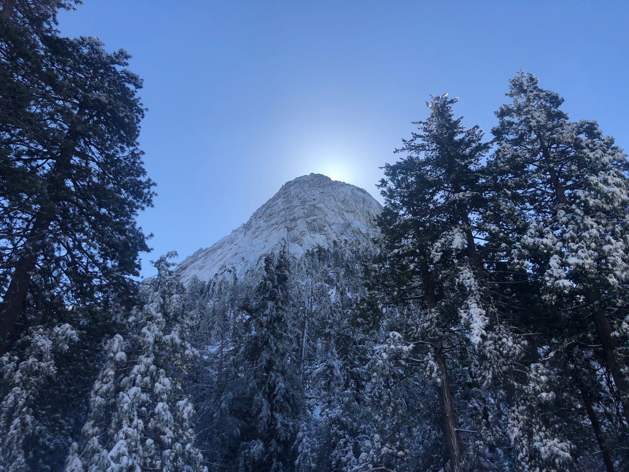 Idyllwild Vintage cover