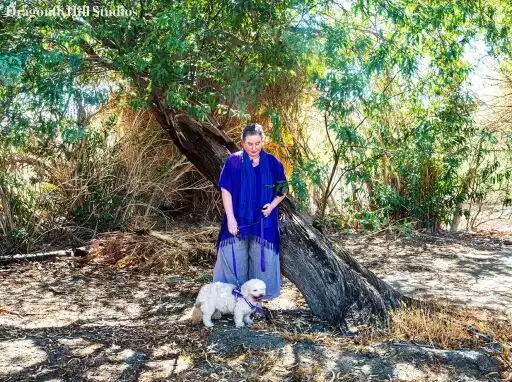 Dragonflyhill Desert Farm