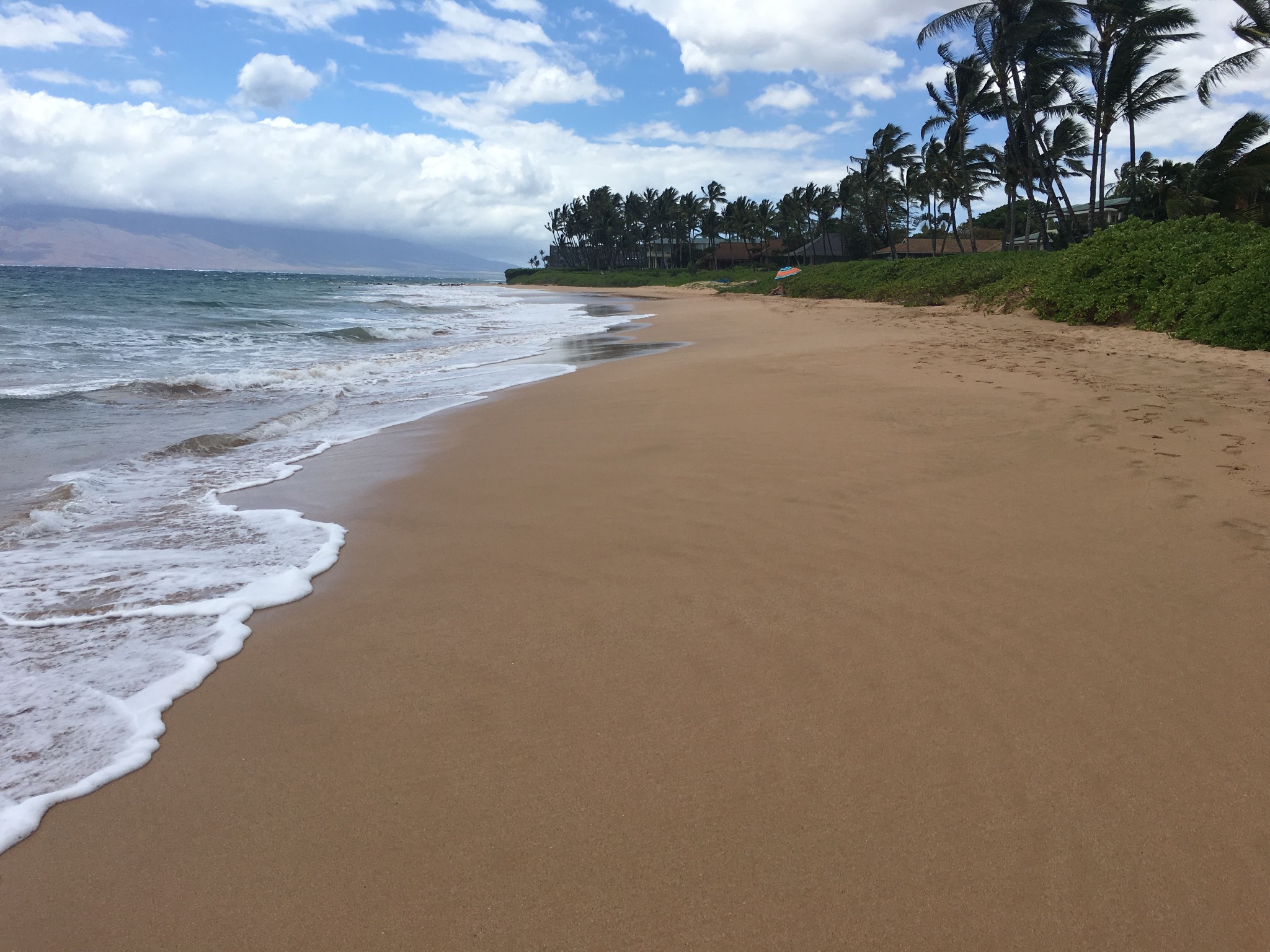 Roman & Elizabeth cover