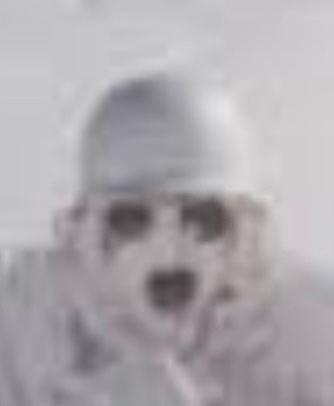 David profile picture