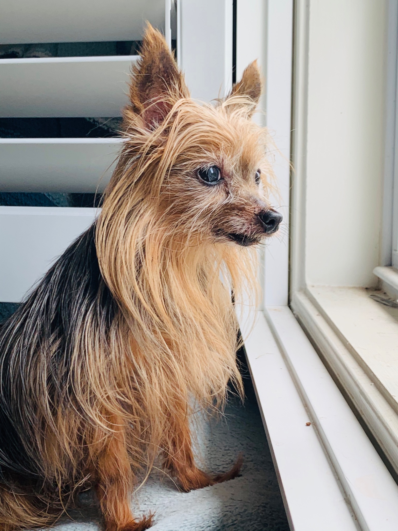 Amber profile picture