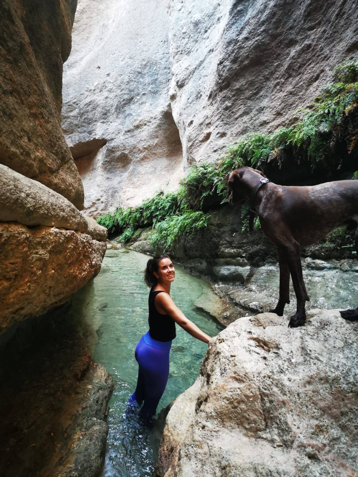 Irene profile picture