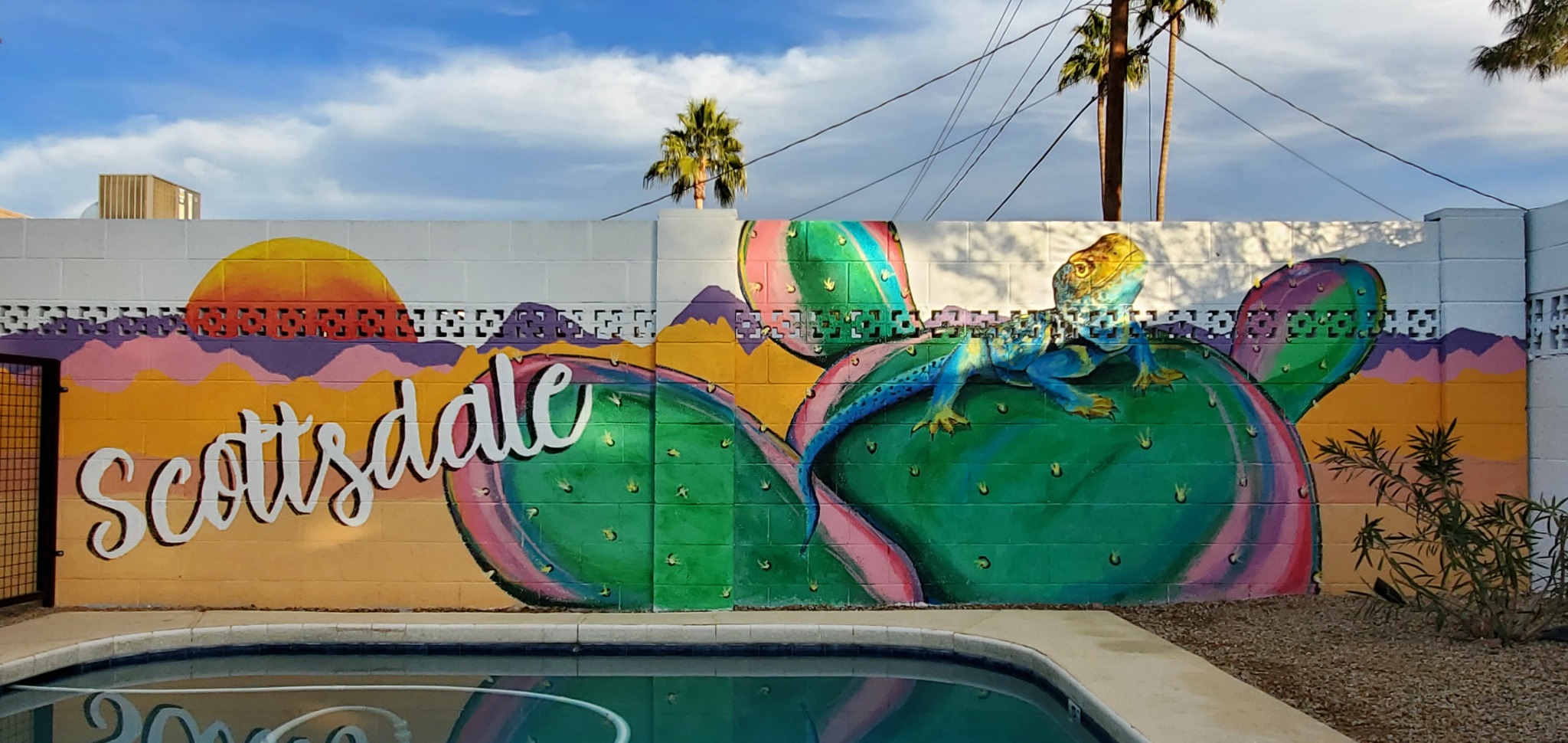 Bruce & Debbie cover