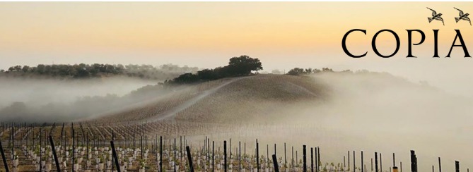 Copia Vineyards cover