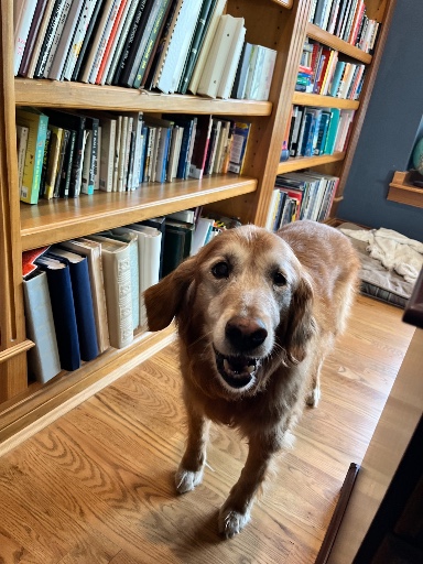 Tracy & Steve profile picture