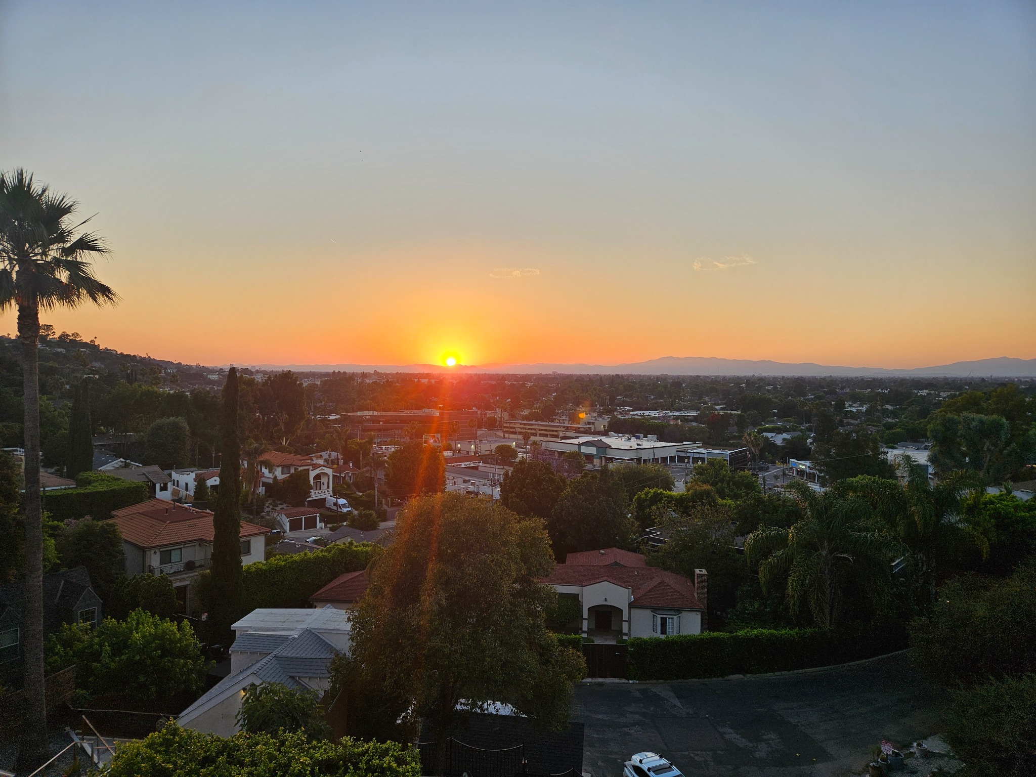 Jerry profile picture