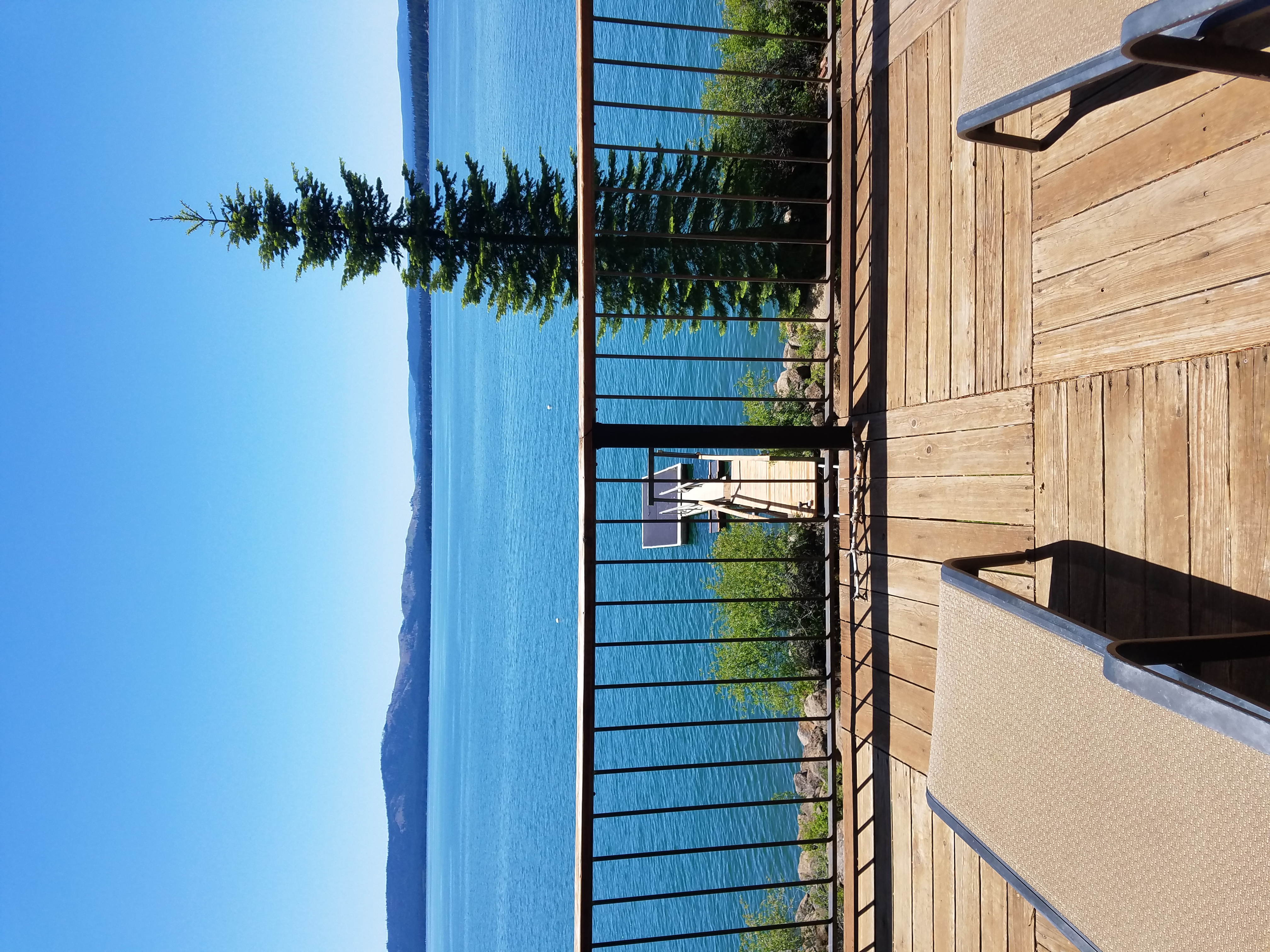 Tyler profile picture