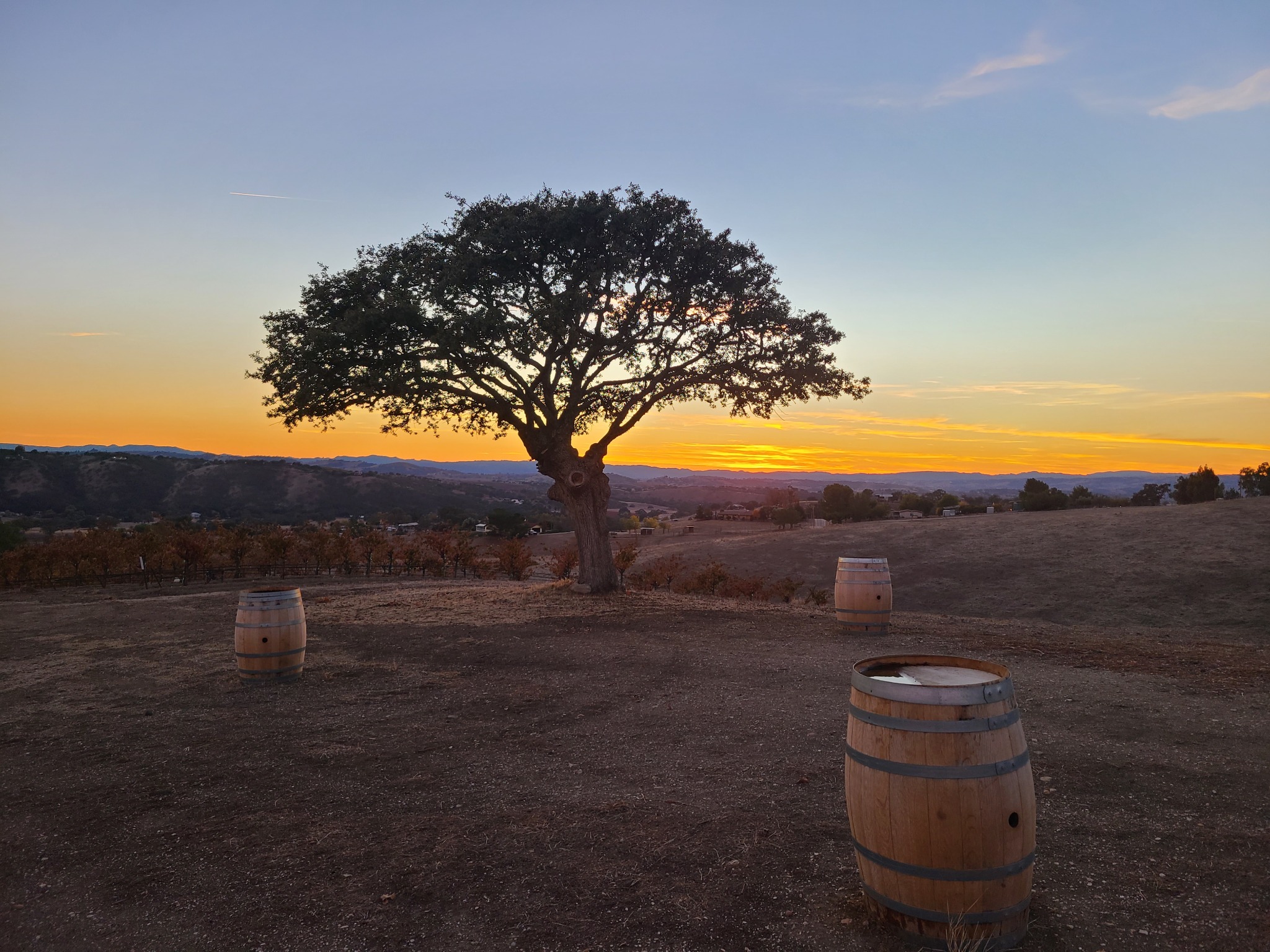 Optio Vineyards cover