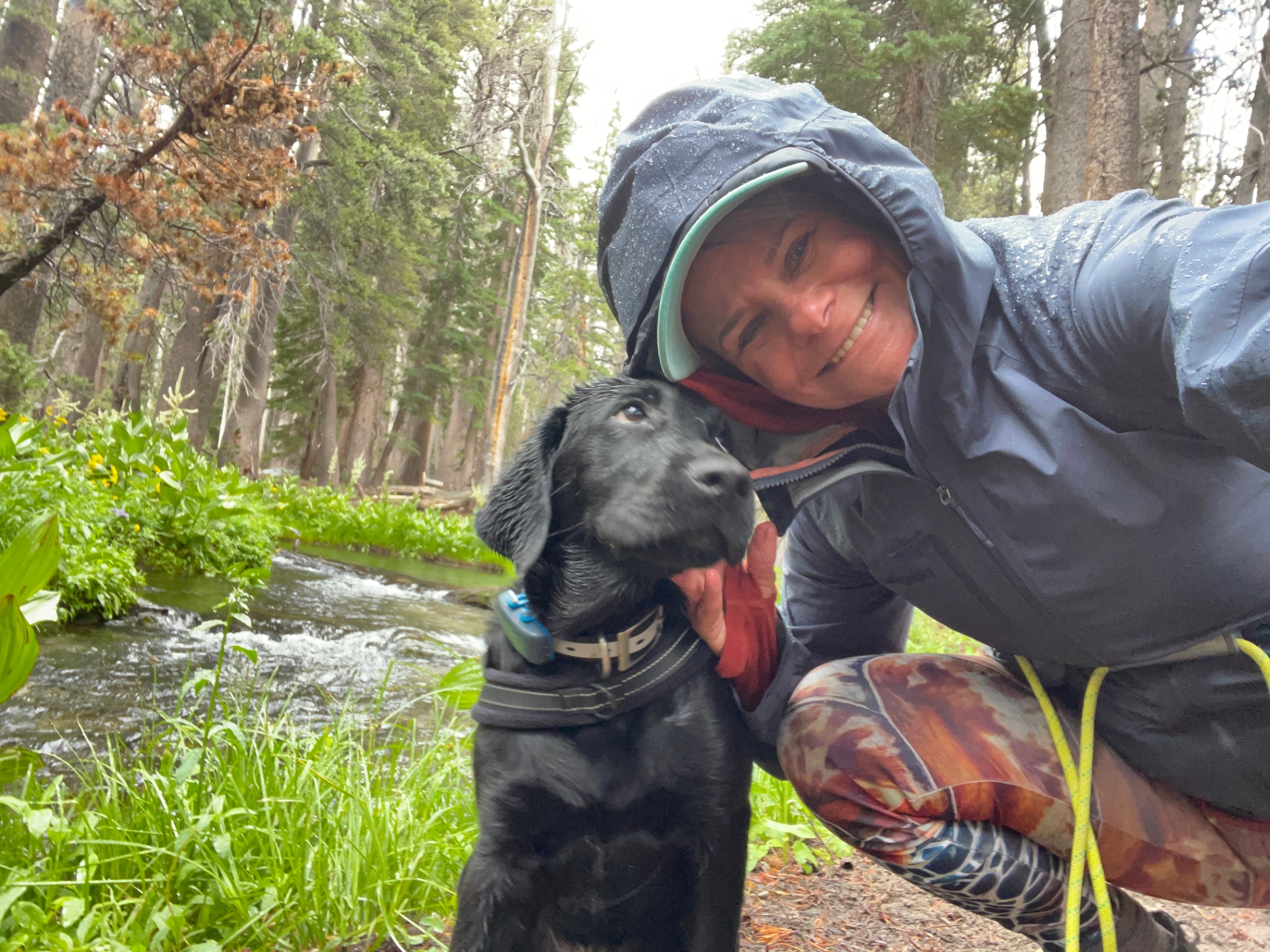 Carrie profile picture