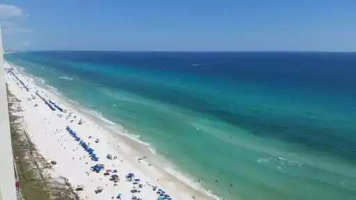 Jeri profile picture