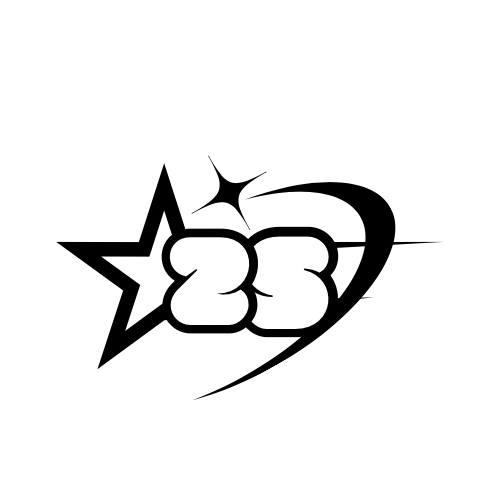 2savvy profile picture