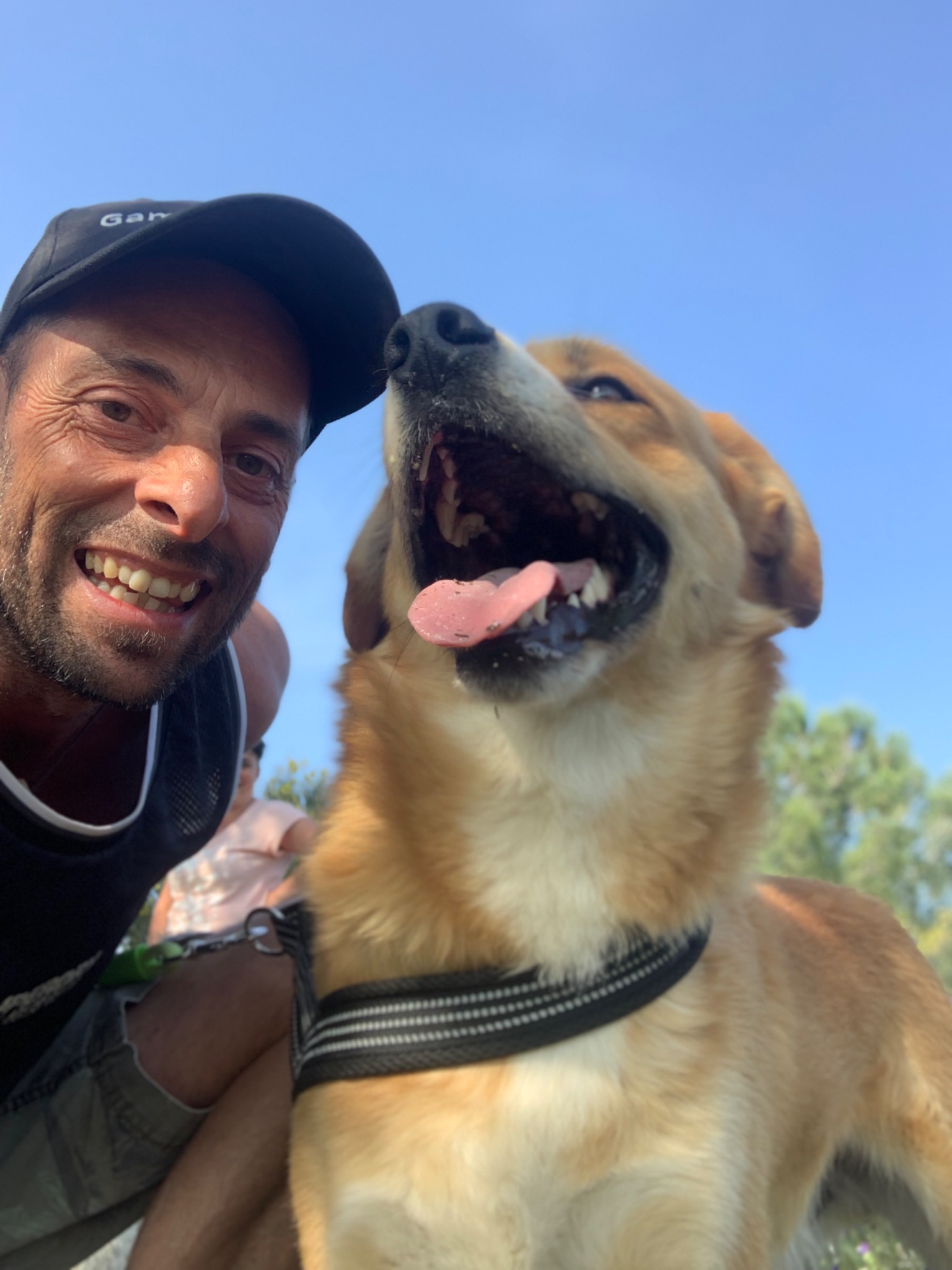 Moris profile picture