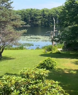 Caroline profile picture