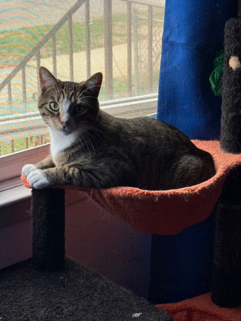 Gina profile picture