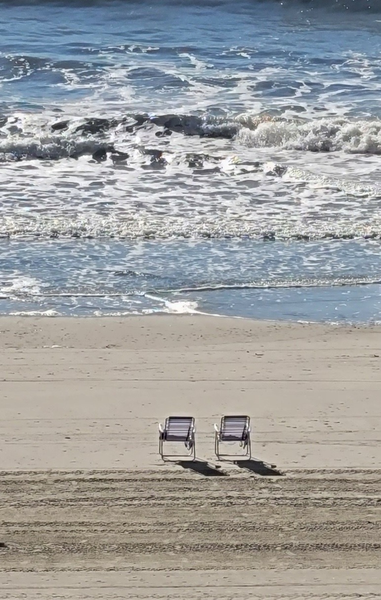 Oyster Vacation LLC cover