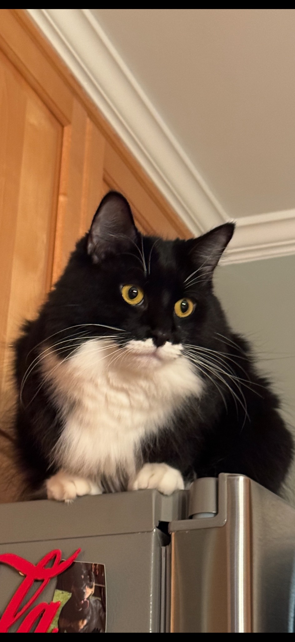 Tracy profile picture