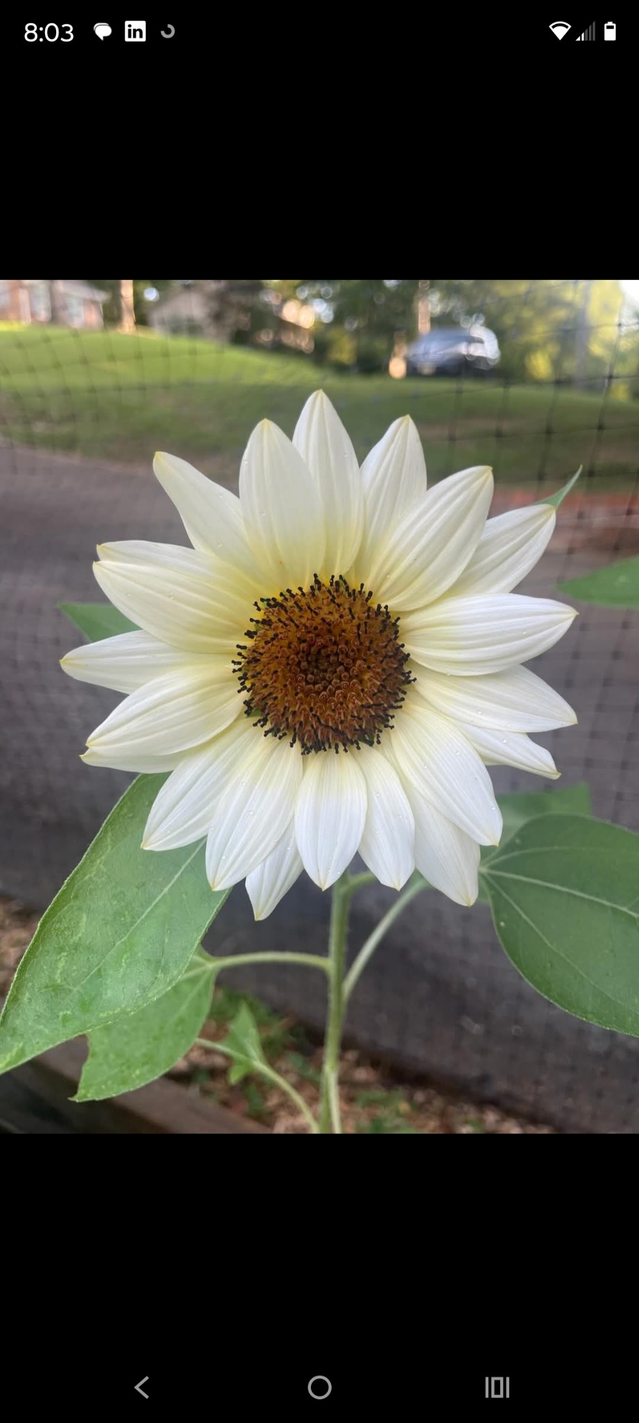 Jennifer profile picture