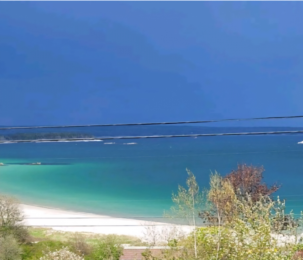 Mike profile picture