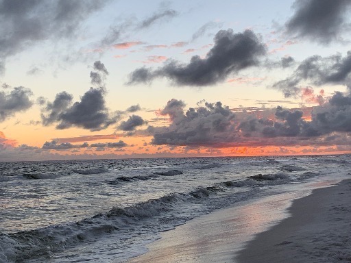 Hannah profile picture