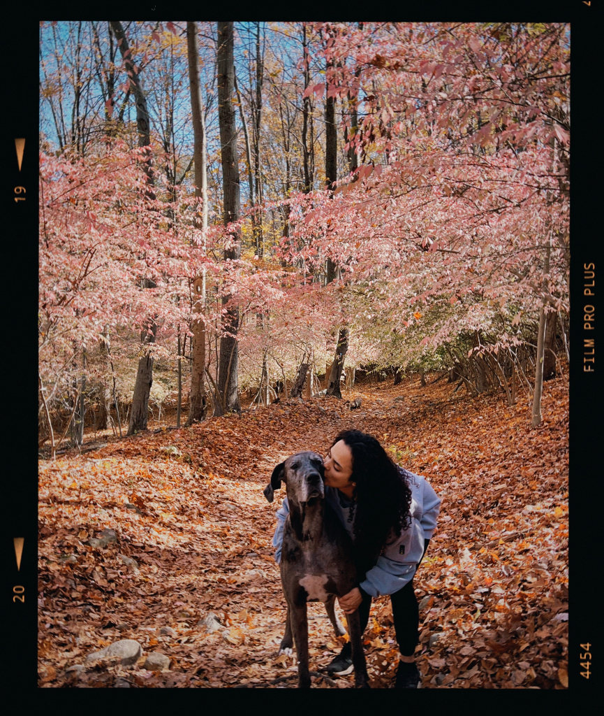 Nathalie profile picture