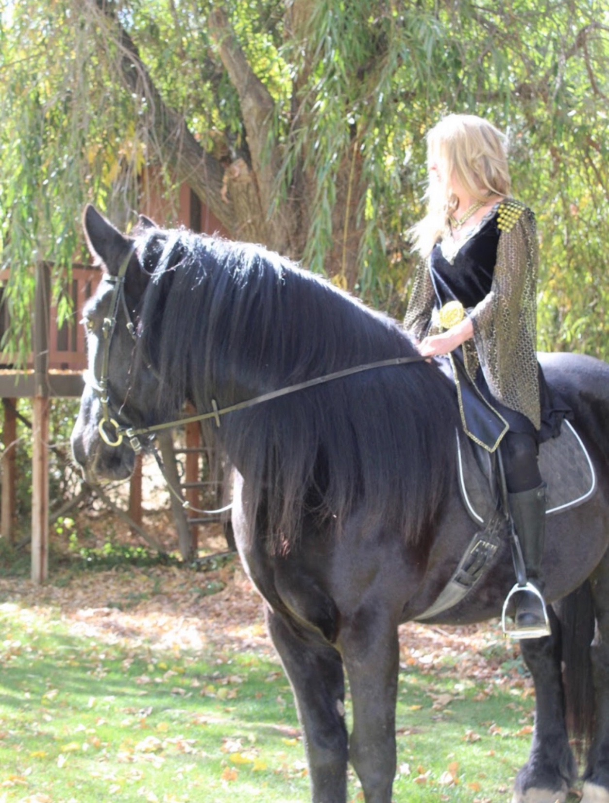 Cindy profile picture