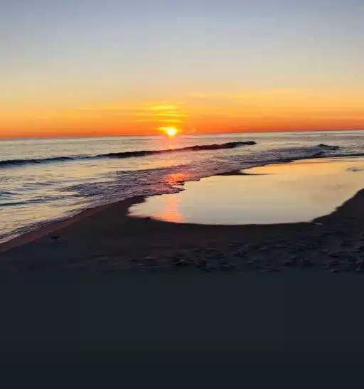 Veronica profile picture