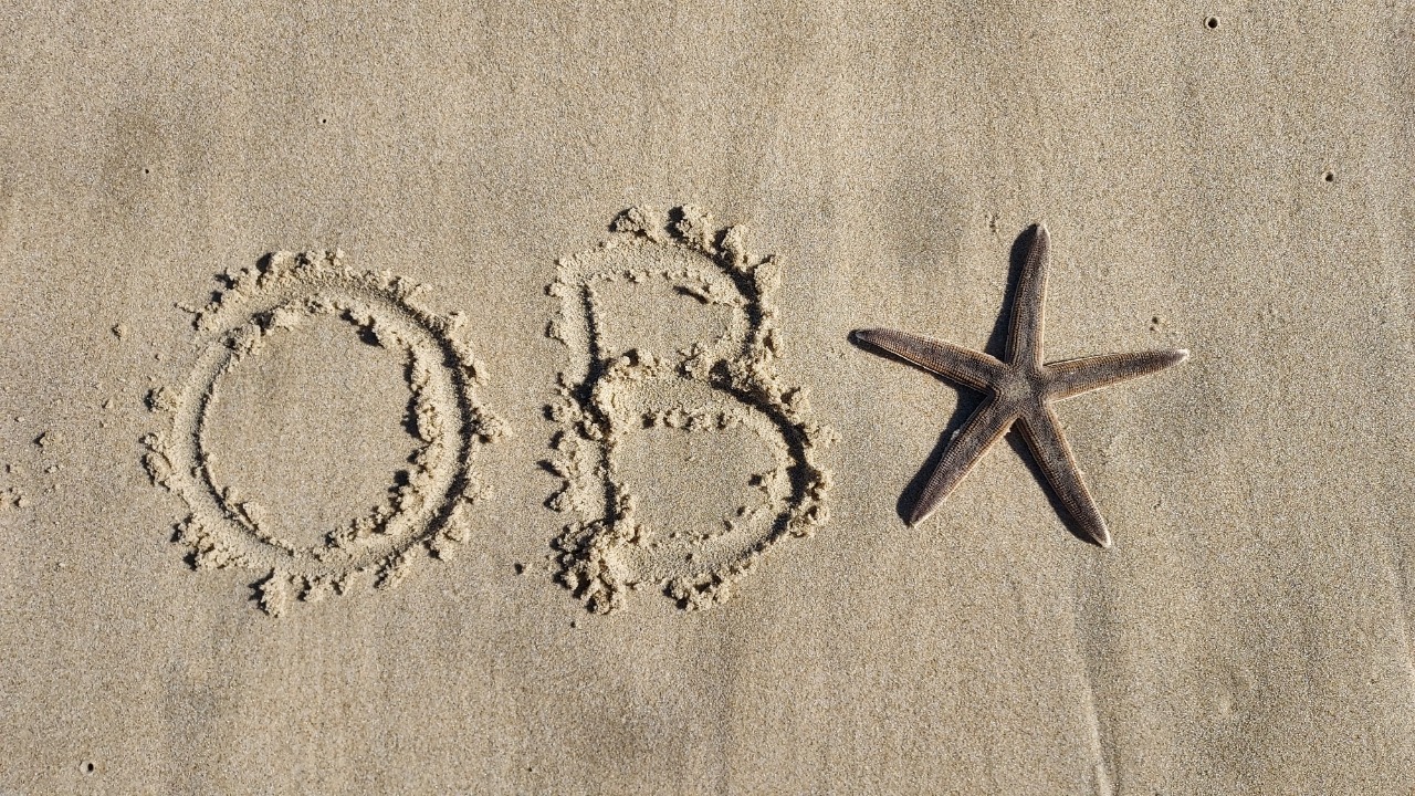 Sean & Jennifer cover