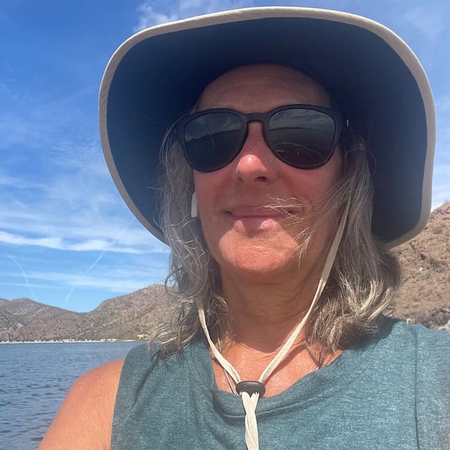 Elaine profile picture