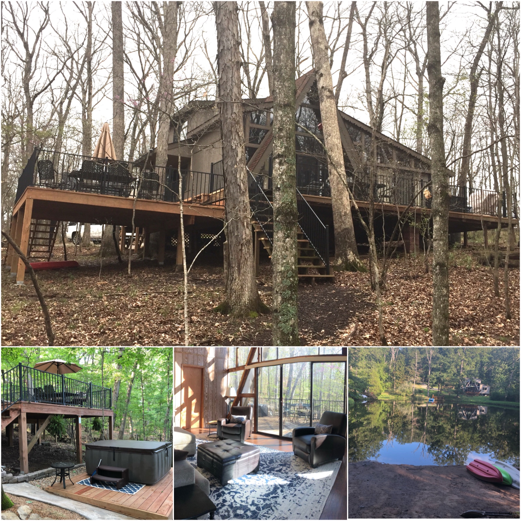 Erika profile picture