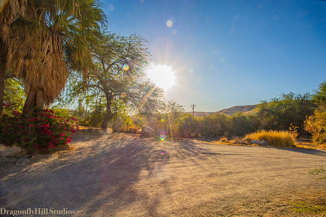 Dragonflyhill Desert Farm cover