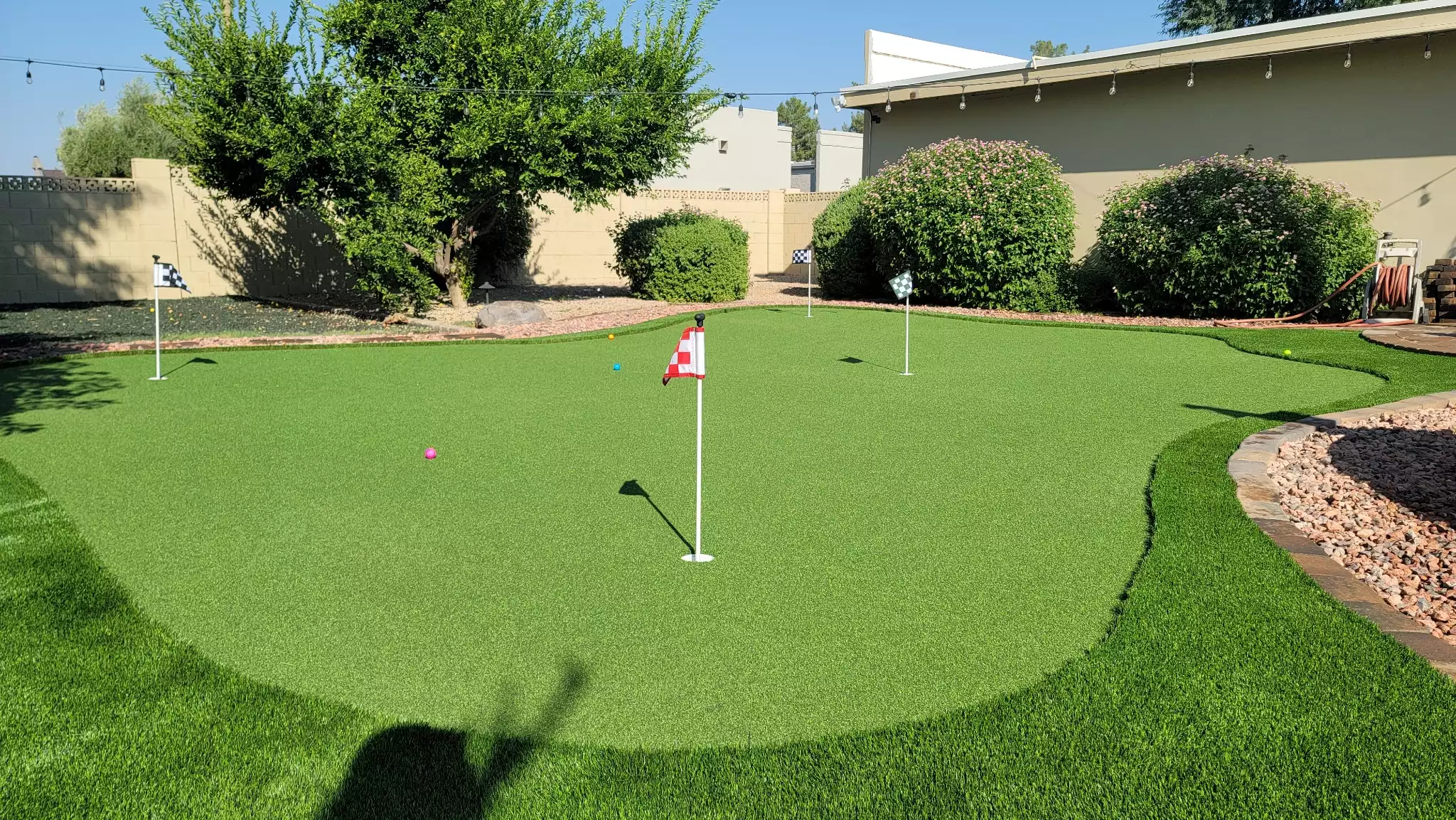 Scottsdale Endless Summer - Scottsdale