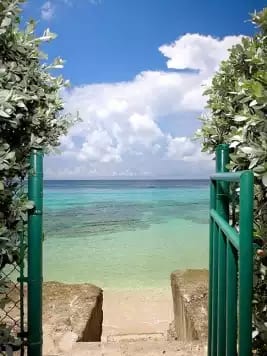 Thespina - Holetown