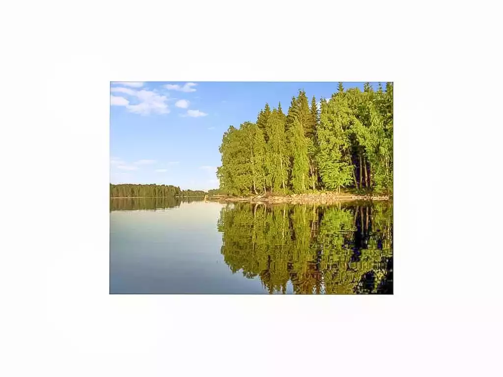 Varpu - Hämeenlinna